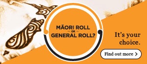 Māori Electoral optio 2